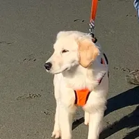 processed/26754e53-23eb-4ff5-b533-296d93aa1cf2/facility/7975c585-b05a-4abf-9c2d-27a0d9e777b4