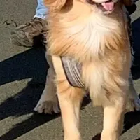 processed/26754e53-23eb-4ff5-b533-296d93aa1cf2/facility/e6b8c686-21f5-4902-a488-1cb68e65cda5