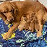 processed/26754e53-23eb-4ff5-b533-296d93aa1cf2/facility/fdfc3a48-6edf-4bbc-8878-82a6853303fe