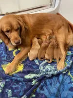 processed/26754e53-23eb-4ff5-b533-296d93aa1cf2/facility/fdfc3a48-6edf-4bbc-8878-82a6853303fe