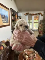 processed/26754e53-23eb-4ff5-b533-296d93aa1cf2/listing/c1829202-dfaa-4329-8baa-19a6d5c22d94/021ee343-b5ff-4343-9da8-6b9d51a5ff97