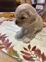 processed/26754e53-23eb-4ff5-b533-296d93aa1cf2/listing/c1829202-dfaa-4329-8baa-19a6d5c22d94/408513d6-6285-4ead-a663-c1e8b9be3c70