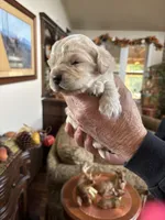 processed/26754e53-23eb-4ff5-b533-296d93aa1cf2/listing/c1829202-dfaa-4329-8baa-19a6d5c22d94/6f5d6008-c445-4793-bff1-9f45c52279a9