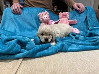 processed/26754e53-23eb-4ff5-b533-296d93aa1cf2/listing/c1829202-dfaa-4329-8baa-19a6d5c22d94/bb538d0a-b118-4f98-b9d0-c584b1d27290