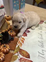 processed/26754e53-23eb-4ff5-b533-296d93aa1cf2/listing/c19a519f-f473-4e5b-afb0-ca172ed8960a/0b8cdaef-4b64-4565-8737-4286e31c661f