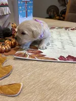 processed/26754e53-23eb-4ff5-b533-296d93aa1cf2/listing/c19a519f-f473-4e5b-afb0-ca172ed8960a/5313e07d-d8d6-404e-bebb-7677d83fd0f5