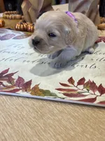 processed/26754e53-23eb-4ff5-b533-296d93aa1cf2/listing/c19a519f-f473-4e5b-afb0-ca172ed8960a/802eece4-ed5c-41d8-8503-b2dcf44f9d4d