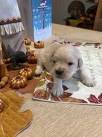 processed/26754e53-23eb-4ff5-b533-296d93aa1cf2/listing/c19a519f-f473-4e5b-afb0-ca172ed8960a/ec3704b6-208d-41fb-b8d1-8fe669ea0b06