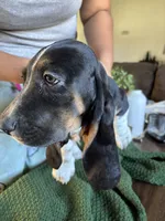 processed/268113ac-d90d-4dfd-a39b-86abcbc2fba8/listing/7cab4e01-f920-4e83-b1a6-7249931c7907/452b8d58-d7fc-4e48-b0d3-dca05caf50c0