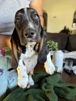 processed/268113ac-d90d-4dfd-a39b-86abcbc2fba8/listing/7cab4e01-f920-4e83-b1a6-7249931c7907/5dcd72d9-e253-49f0-b025-bdd912e20c32