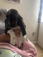 processed/268113ac-d90d-4dfd-a39b-86abcbc2fba8/listing/7cab4e01-f920-4e83-b1a6-7249931c7907/a692f0fb-5984-41fe-884a-41a7819a5a67