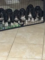 processed/268113ac-d90d-4dfd-a39b-86abcbc2fba8/listing/c3454f8b-2e47-450f-8258-29bcf969432e/6e414ac2-31d1-4630-a9ff-e5a8db2980dc