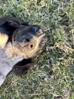 processed/268113ac-d90d-4dfd-a39b-86abcbc2fba8/listing/c3454f8b-2e47-450f-8258-29bcf969432e/781dd860-68d0-4e8c-b423-adce8b11ab8c