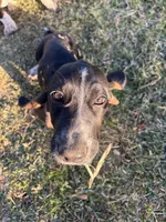 processed/268113ac-d90d-4dfd-a39b-86abcbc2fba8/listing/c3454f8b-2e47-450f-8258-29bcf969432e/7d3ee0a3-6e6d-48f9-b2c3-4acec100cac9