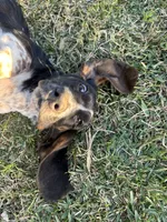 processed/268113ac-d90d-4dfd-a39b-86abcbc2fba8/listing/c3454f8b-2e47-450f-8258-29bcf969432e/81ba8b6a-8021-4674-a49d-712ecdc8cf3b