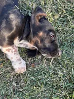 processed/268113ac-d90d-4dfd-a39b-86abcbc2fba8/listing/c3454f8b-2e47-450f-8258-29bcf969432e/ad590295-74e0-4939-a012-c0b1175811db