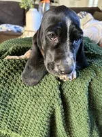 processed/268113ac-d90d-4dfd-a39b-86abcbc2fba8/listing/c3454f8b-2e47-450f-8258-29bcf969432e/cfa9dc39-fe72-432d-bbcd-5b6fec74193c