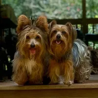 processed/268da4cd-747c-4d3c-9cae-f57b3d8235f6/facility/039e83d4-3d15-4b72-bd7b-541a15021b47