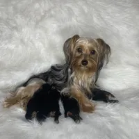 processed/268da4cd-747c-4d3c-9cae-f57b3d8235f6/facility/4498843e-8461-4928-b391-e2f99c4a79a3