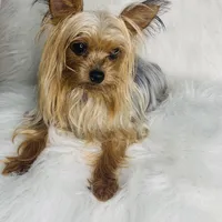 processed/268da4cd-747c-4d3c-9cae-f57b3d8235f6/facility/621fd72d-ab77-428f-a325-fbbaf58ccfbe