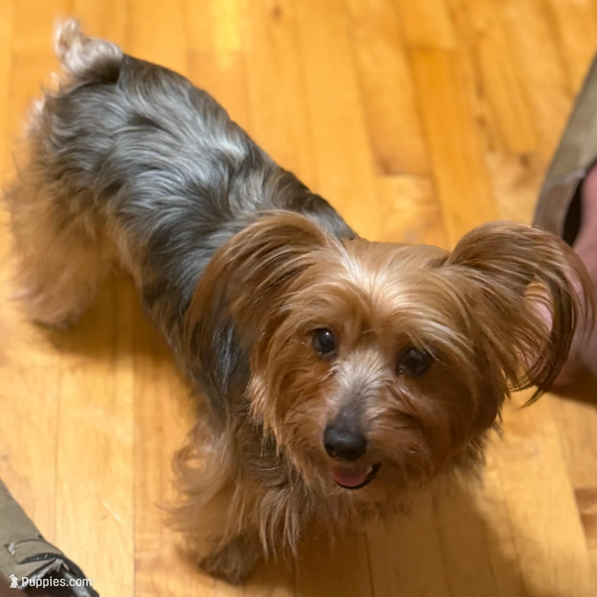 processed/268da4cd-747c-4d3c-9cae-f57b3d8235f6/facility/6edcb949-719c-4ff1-8d04-3949500a1a20