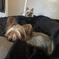 processed/268da4cd-747c-4d3c-9cae-f57b3d8235f6/facility/8182d350-fd10-42e4-bd27-cc3f791ba5f2