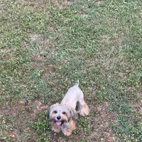 processed/268da4cd-747c-4d3c-9cae-f57b3d8235f6/facility/9ec6e2aa-f65a-4160-9195-4bf37cc89efb