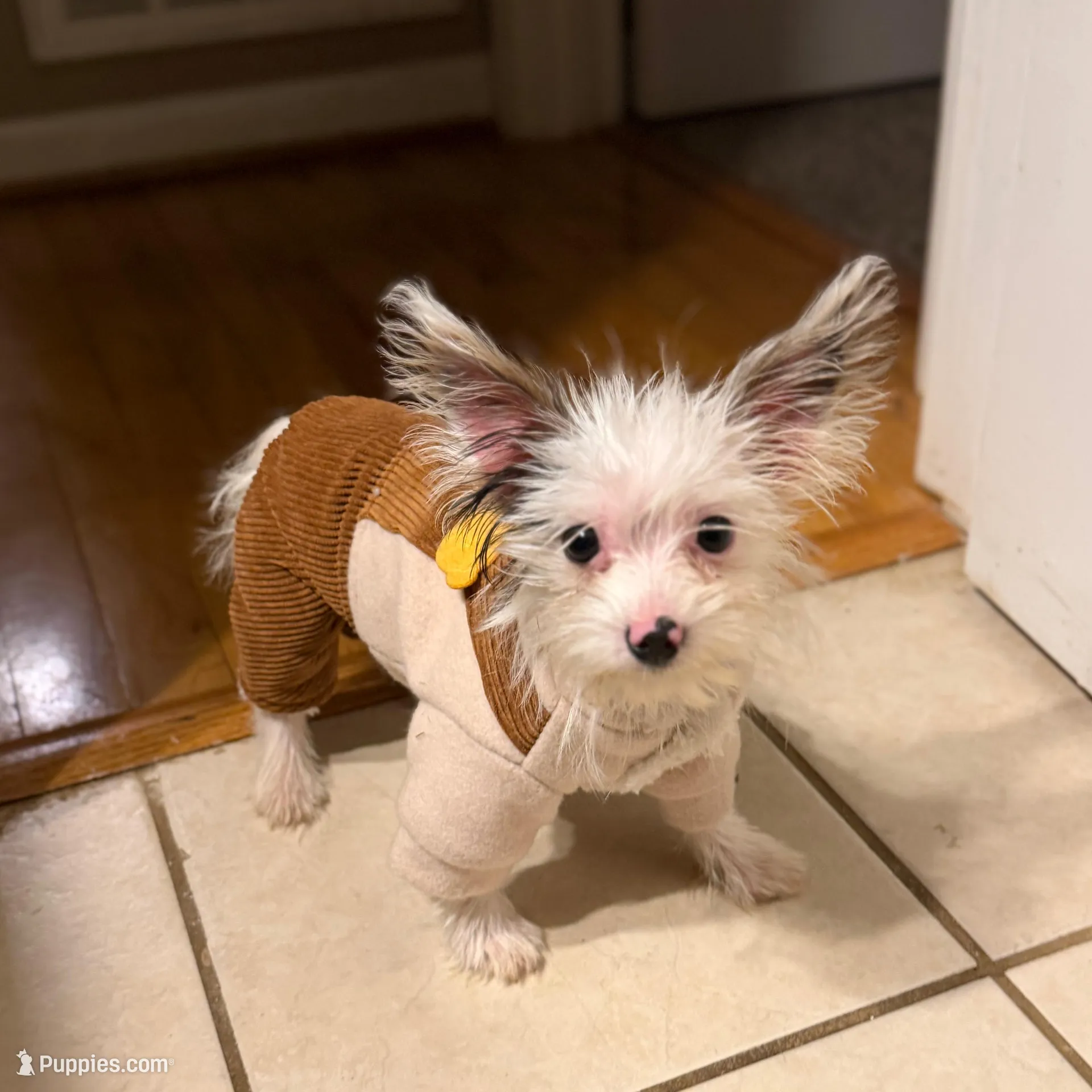 processed/268da4cd-747c-4d3c-9cae-f57b3d8235f6/facility/c2acf973-1fdc-4269-801a-e1a741859961