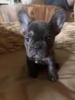 processed/26913d9d-cc65-49d3-9d86-e762bf3c0eb9/facility/2f7b275c-a23f-4f07-bdee-c7426e30ed5a