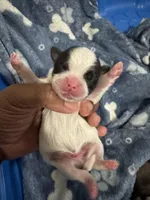 processed/2695065c-b6af-42c0-a078-767141485919/listing/3f60ce3a-efa2-4ead-a3db-00c78735ee92/21248c12-5425-4be0-9e9a-3733fbcfa8cd