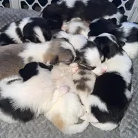 processed/269a49d1-4568-4fe6-98f8-e3d4ce0306f0/facility/9a3104b8-1a11-4a00-801c-4cc80bf55b45