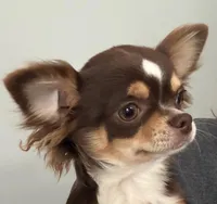 processed/269a828d-f1d8-4707-b7d6-7ad88b6cf941/facility/05dd309c-2534-4d17-a2f3-d0aa9c23c3c0