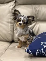 processed/269a828d-f1d8-4707-b7d6-7ad88b6cf941/facility/6cc49be1-a0ea-4dc7-9739-fc886baeaf14