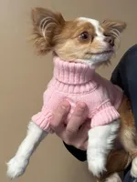 processed/269a828d-f1d8-4707-b7d6-7ad88b6cf941/facility/73b6649f-9974-4934-9ec3-627760c6663d