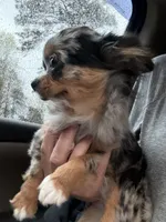 processed/269a828d-f1d8-4707-b7d6-7ad88b6cf941/facility/7b32963d-4716-4487-b665-b5155a54c8ed