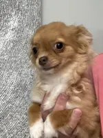 processed/269a828d-f1d8-4707-b7d6-7ad88b6cf941/facility/803b271b-2080-4e2d-87b5-38f9952515fb