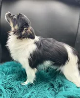 processed/269a828d-f1d8-4707-b7d6-7ad88b6cf941/facility/881e1741-a9bc-45d8-b5f6-4a0d74bbb55f