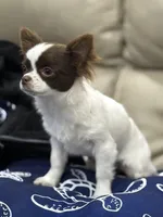 processed/269a828d-f1d8-4707-b7d6-7ad88b6cf941/facility/8d24a7d7-618f-40ec-b4d2-c8e249d4bf70