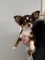 processed/269a828d-f1d8-4707-b7d6-7ad88b6cf941/facility/bfd711cd-b7b3-4de4-a6fd-27f94cec2d9a