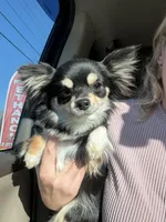 processed/269a828d-f1d8-4707-b7d6-7ad88b6cf941/facility/f171b989-57f3-4535-96bc-b670988e299a