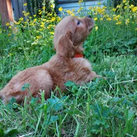 processed/269af6a7-6b47-4daa-a573-8c8de4eefbeb/facility/0402b43b-51cd-443a-a445-2803703ad9c5