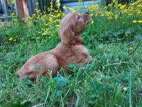 processed/269af6a7-6b47-4daa-a573-8c8de4eefbeb/facility/0402b43b-51cd-443a-a445-2803703ad9c5