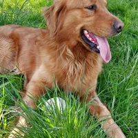 processed/269af6a7-6b47-4daa-a573-8c8de4eefbeb/facility/12296cac-2f8d-4d52-9b39-620367c389ae