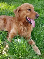 processed/269af6a7-6b47-4daa-a573-8c8de4eefbeb/facility/12296cac-2f8d-4d52-9b39-620367c389ae