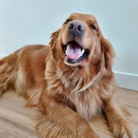 processed/269af6a7-6b47-4daa-a573-8c8de4eefbeb/facility/2c3748a0-5ef5-4dd6-b38e-336bc03b69d4