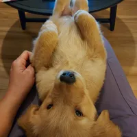 processed/269af6a7-6b47-4daa-a573-8c8de4eefbeb/facility/44682287-e750-4dc7-88da-52b66ab24f77