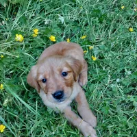 processed/269af6a7-6b47-4daa-a573-8c8de4eefbeb/facility/59050b16-147f-49fd-bd29-888a84ba1f7c