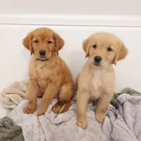 processed/269af6a7-6b47-4daa-a573-8c8de4eefbeb/facility/5f307613-97fd-49c0-8d4a-a08cdc168f60