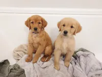 processed/269af6a7-6b47-4daa-a573-8c8de4eefbeb/facility/5f307613-97fd-49c0-8d4a-a08cdc168f60