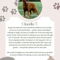 processed/269af6a7-6b47-4daa-a573-8c8de4eefbeb/facility/d8f2d3e6-9e1b-4d32-9454-5398eb5da667